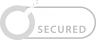 norton logo